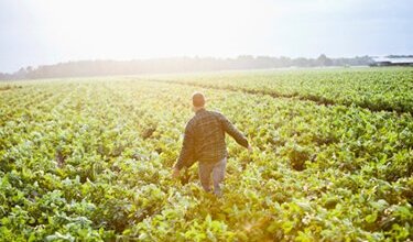 Light Therapy & Health