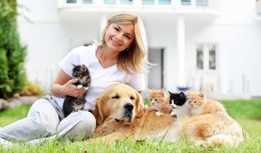 Mood, Gut Bacteria, and the Immune System