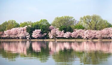 Alzheimer’s Disease Letter to the Editor Wall Street Journal