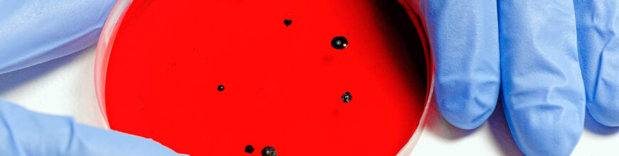 Corona Virus – A Physician’s Perspective