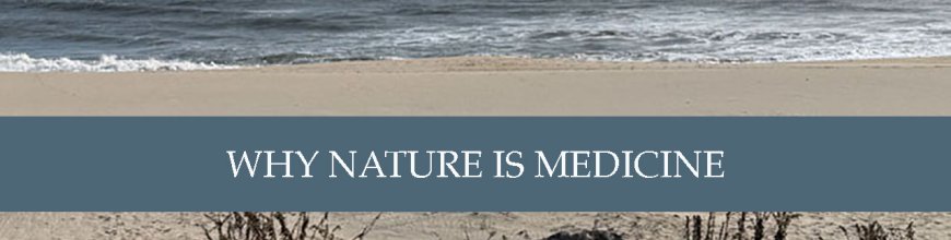 Why Nature Is Medicine: What Dr. Marc Berman’s Nature and the Mind Means for Psychiatric Care